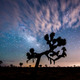 Illustration for article titled Stars and Clouds Battle to Take Over the Night Sky